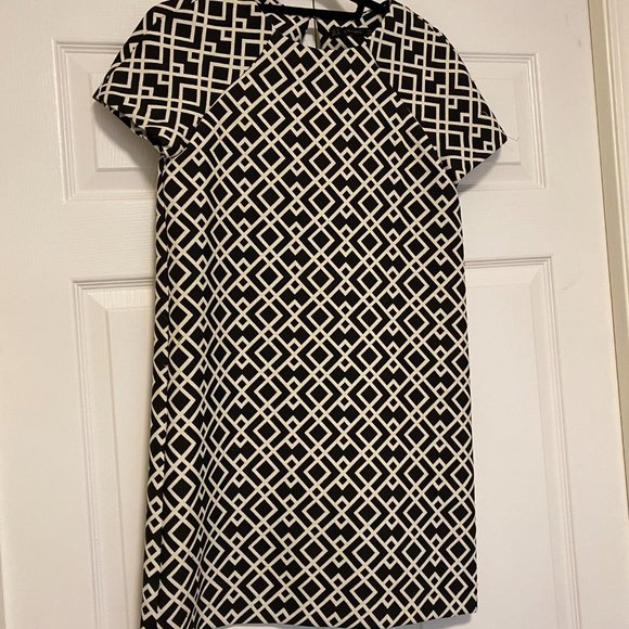 Zara Basics Mod Style Mini Dress - Picture 3 of 3